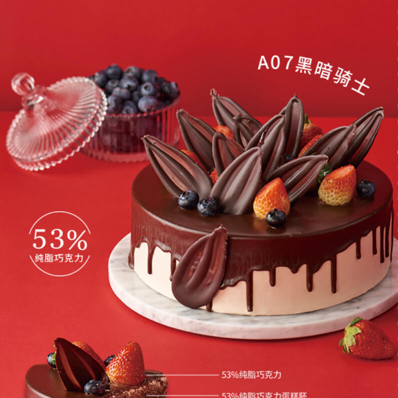 <b>黑暗骑士</b>